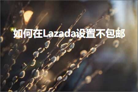 外贸网站seo推广 跨境电商知识:如何在Lazada设置不包邮